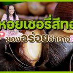 เลี้ยงหอยเชอรี่สีทอง
