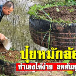 การทำปุ๋ยหมัก