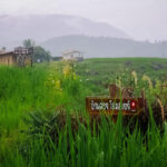 บ้านป่าบงเปียง