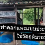 สร้างคอกแพะราคาประหยัด