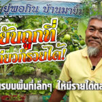 เกษตรผสมผสาน