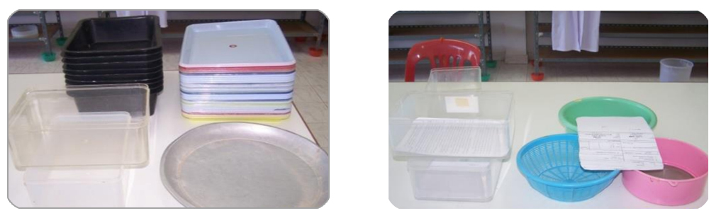 การเพาะเลี้ยงหนอนนก