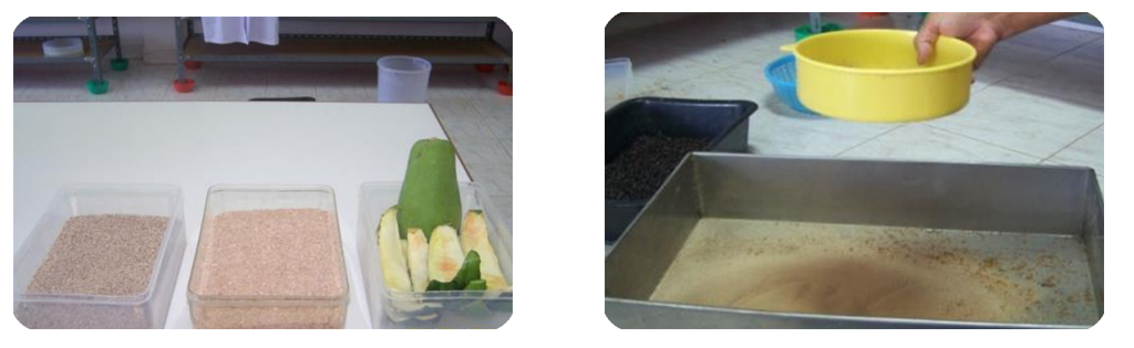 การเพาะเลี้ยงหนอนนก