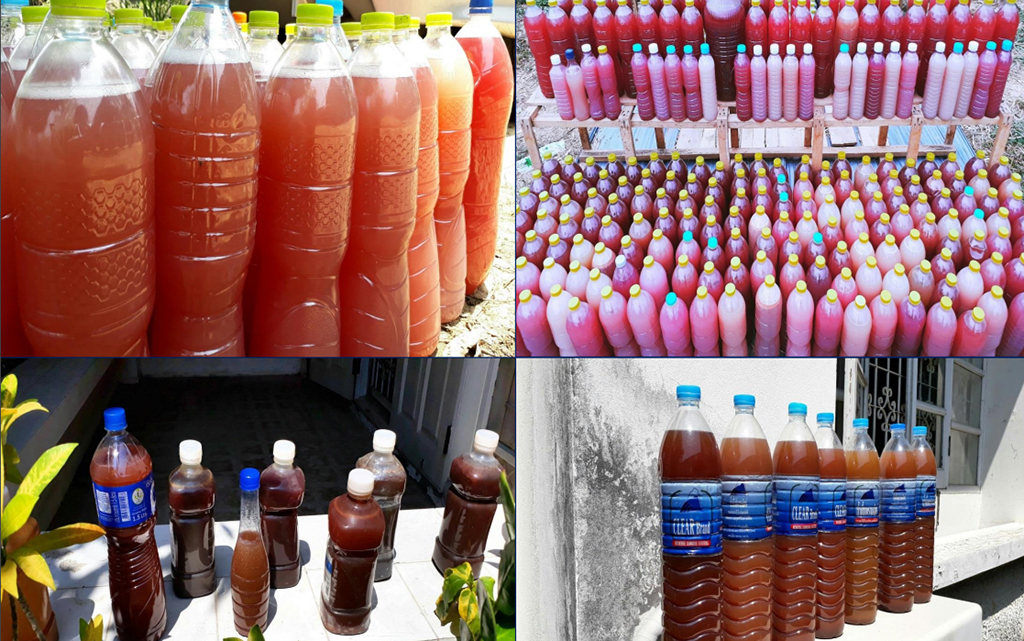 จุลินทรีย์สังเคราะห์แสง